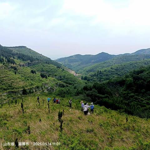 初夏重游“北山寺”