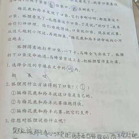 北四公小学二年级寒假特色作业