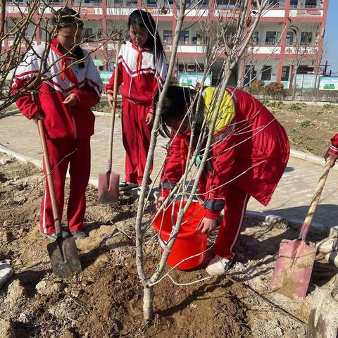 播撒新绿 溢满春天——东明县陆圈镇油寨小学植树节活动