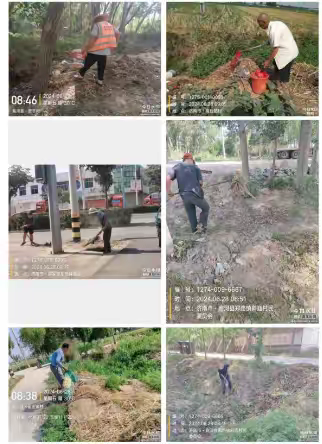 郑路镇开展人居环境整治