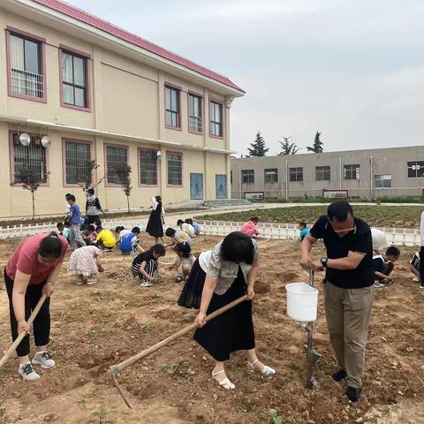 五月，遇见美好