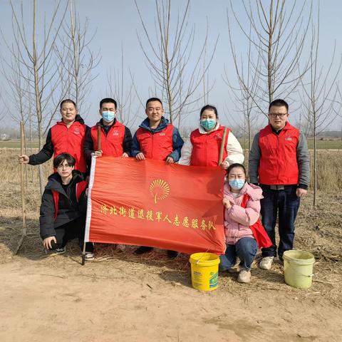 义务植树添新绿，济北街道志愿服务展风采
