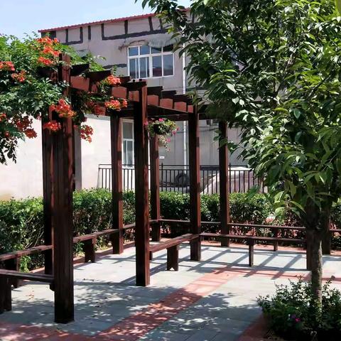 夏日家访路，共育新篇章——赞皇县唐明小学暑期家访纪实