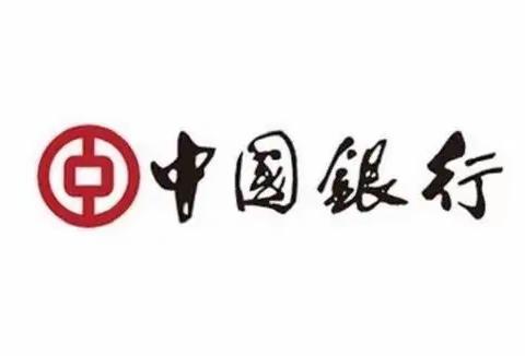 中国银行嘉峪关分行财富金融网点建设流程导入项目总结回顾