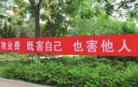 不交物业费，物业不答应、政策不答应，律师和法官也不答应！