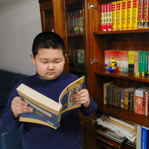 我的学习我做主