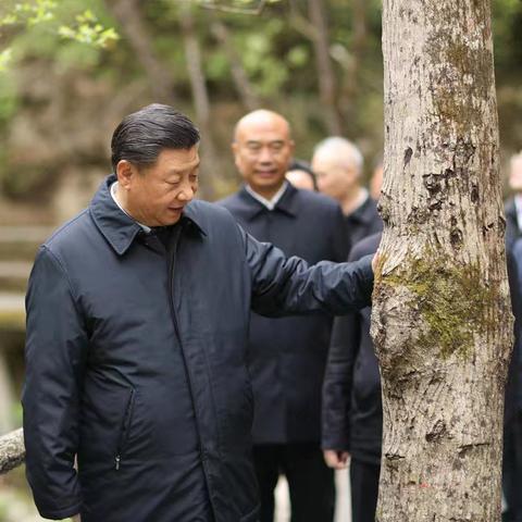 思政融实践 青春护秦岭——西安市第八十三中学志愿服务队开展秦岭生态保护实践活动