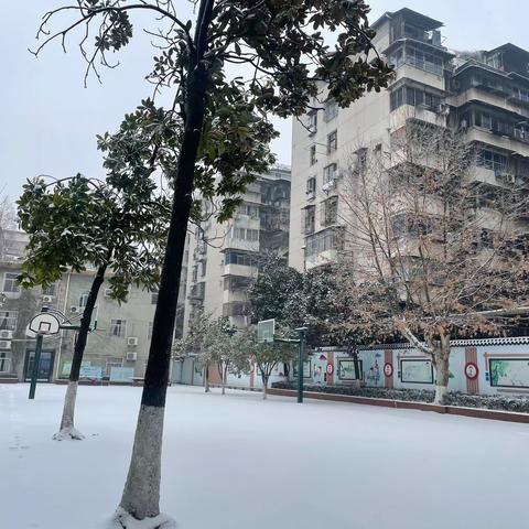 热辣滚烫战冰雪   共筑“安全上学路”