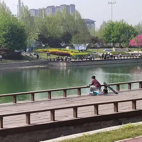 清明寻春，赴一场春日之约