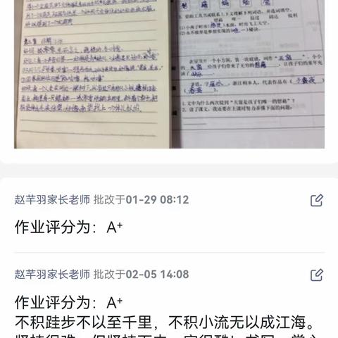 笔尖的自律，美在笔墨间！成长不止步，寒假不虚度！——民生小学四二班语文作业展示