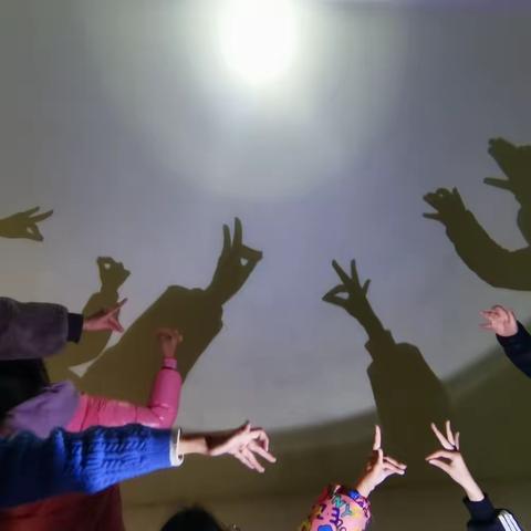 【新元·学科活动】光影之美润童心——记新元小学科学学科活动