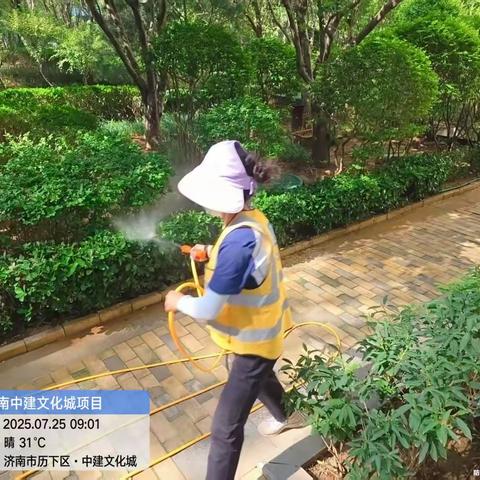 甸柳新村街道甸南社区全面开展灭蚊蝇与积水清理工作
