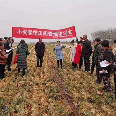 韩城市农业农村局2月10日工作动态