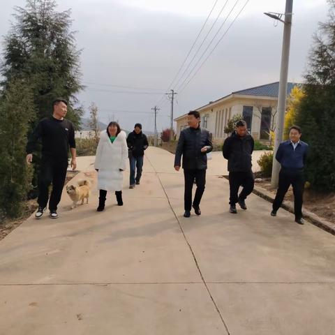 月望乡一周工作动态(3月17日-3月23日)