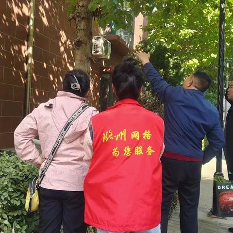 全面修剪树木，“剪”除居民烦恼