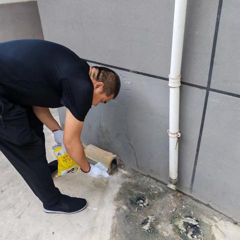 六方格‖除害防病保健康——西六路社区开展病媒生物集中消杀工作