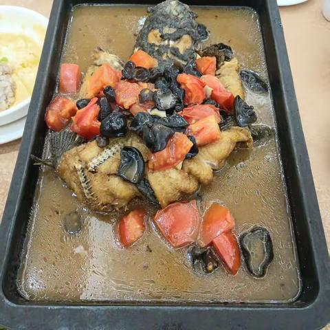 痴行记.跟着AI去旅行