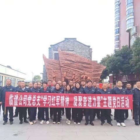 学习红军精神 凝聚奋进力量 ——临澧公司党总支开展主题党日活动