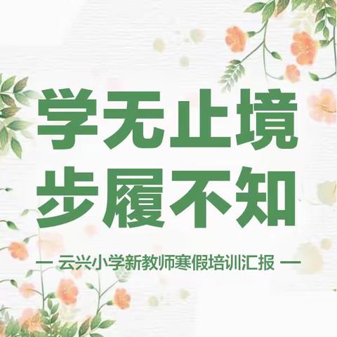 学无止境，步履不止——云兴小学新教师培训（寒假篇）