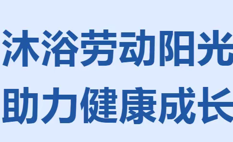 沐浴劳动阳光，助力健康成长——大丰堆镇中学开展寒假综合实践活动