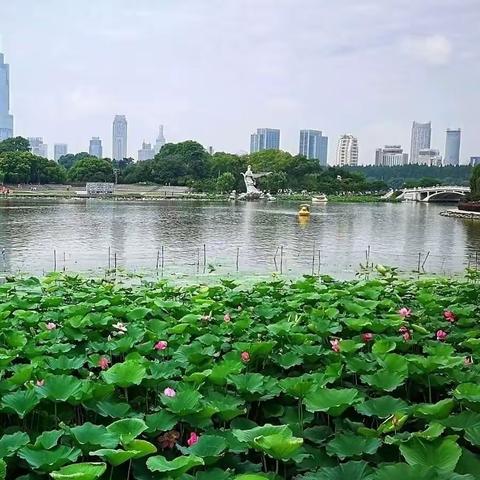 创意纸袋，变变变～～罗平县第一幼儿园小八班环保手工亲子制作活动