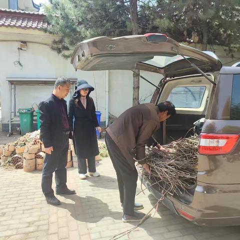 4.2南洼基地检查督查情况