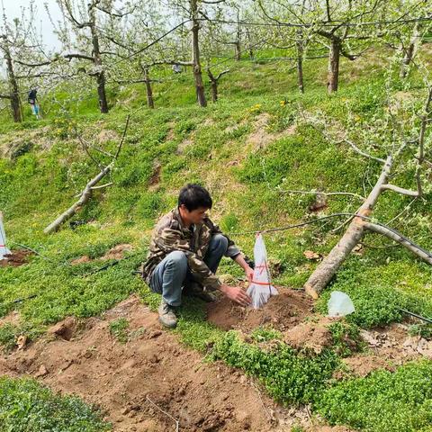 4.8东村基地检查情况