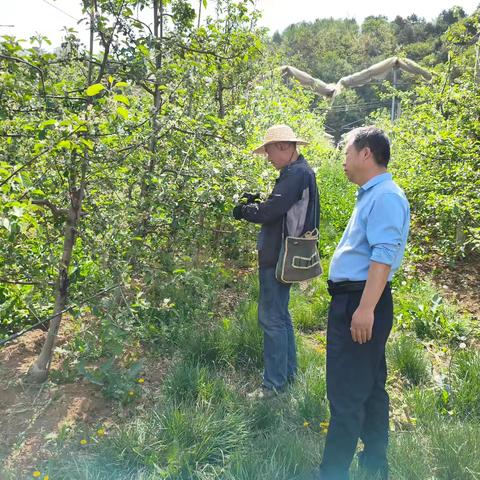 4.25南洼、东村基地督查