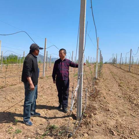 4.28五亩坡头基地检查