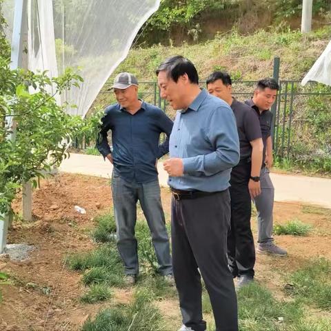 4.30南洼、东村基地督导检查情况