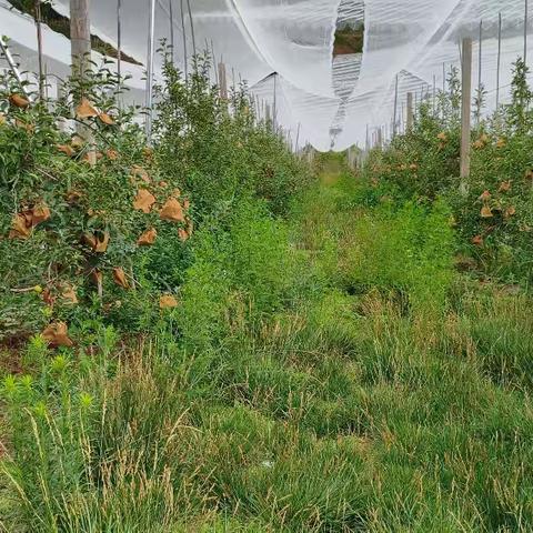 7.1基地检查收获与感想