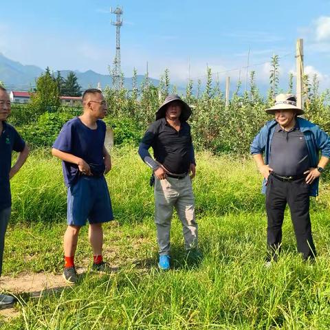7月26-27号公司检查小记