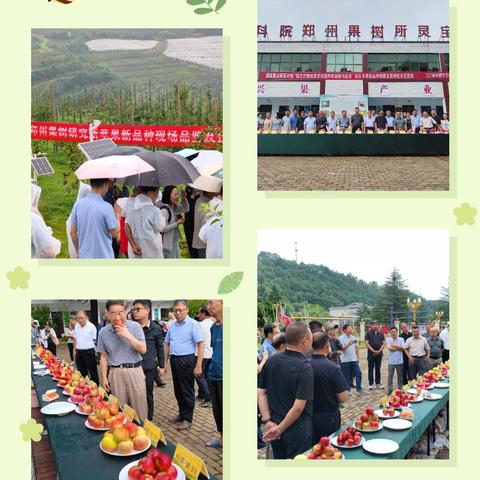 白建伟园艺局的简篇