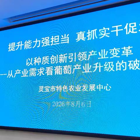 如何破解阳光玫瑰之后葡萄产业发展的困局？听听专家怎么讲