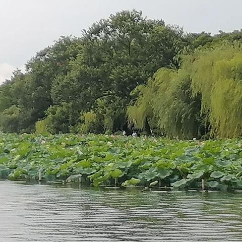 五⑦班作文小报之“同学”篇