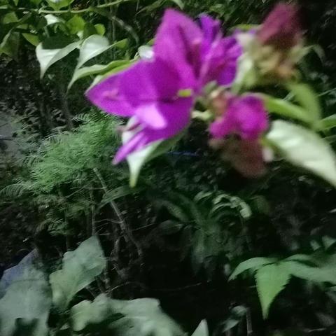 五⑦班优秀作文选登