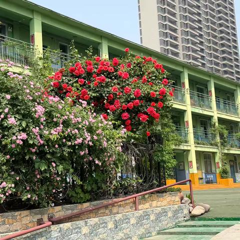 初心如炬，征途如虹 ‍——洛阳市邙岭路小学2024-2025学年“成长杯”青年教师展示课