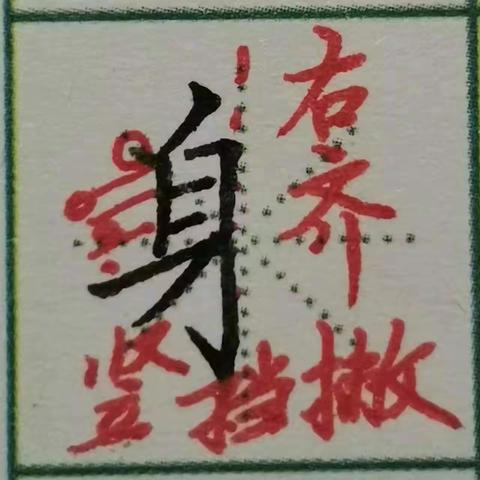 汉字书写素养15班第122周主要内容:偏旁部首练习第七十四周:身字旁