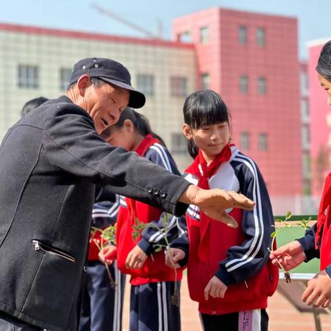 【农耕•黄土情】（第七期）——城东小学学生“春种”活动记实