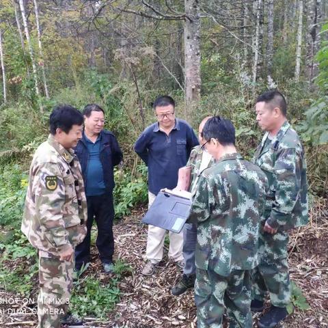 白山市林业局深入横山林场检查山水林田湖草生态保护修复试点工程-林业类项目