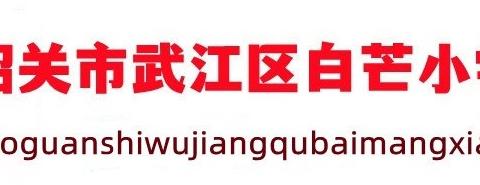 劳动创造幸福 ——记武江区白芒小学学生劳动技能比赛