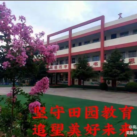 春风十里，不如有“你”——新庄小学五年级日常