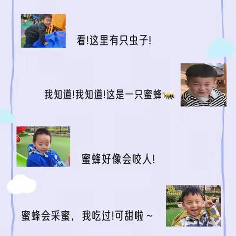 【班本课程】兰陵县第四幼儿园开元尚城园豆一班生成课程“与蜜蜂的一场邂逅”