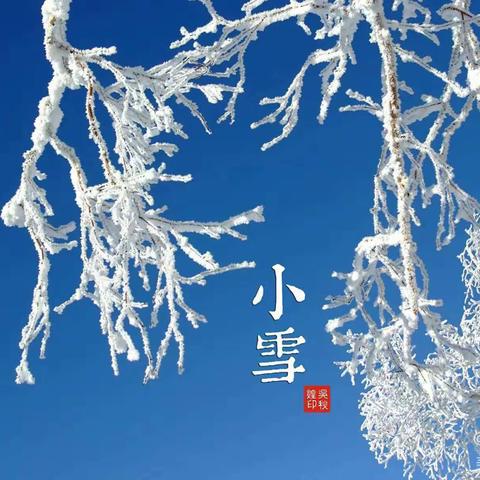 小雪到，冬始俏—昌乐县府机关幼儿园小四班小雪节气美篇