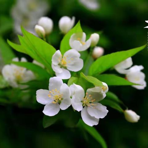 春分----- 涨知识之二十四节气