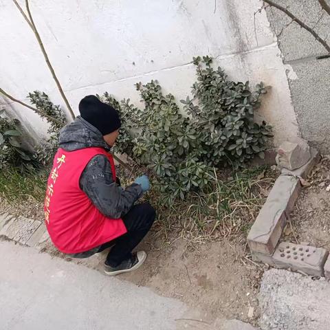 梁苑街道：“禁种铲毒”创文明网格力量显担当
