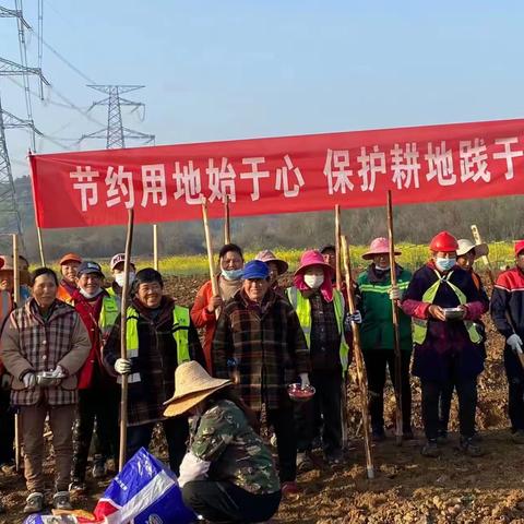 严守耕地红线  花山街全力推进耕地卫片图版整改工作