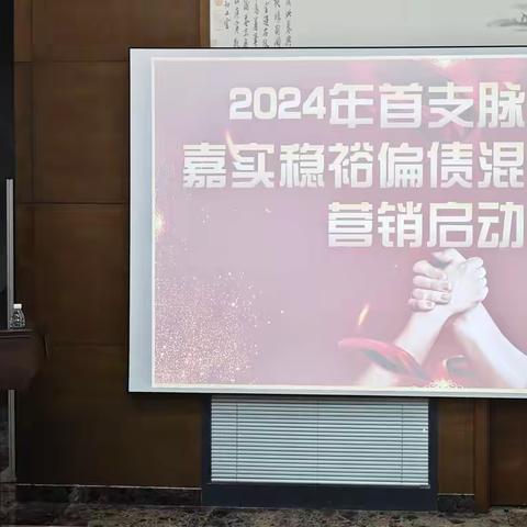 哈尔滨分行组织召开2024年首支脉冲基金-嘉实稳裕营销启动会