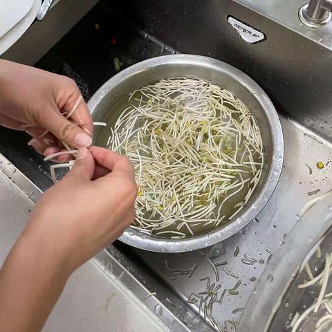 立春吃豆芽