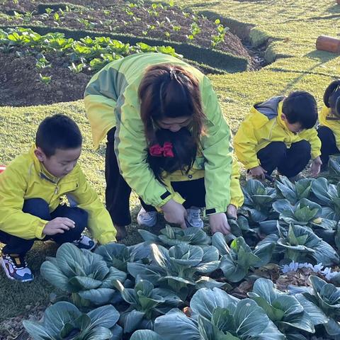 纳享春光桑梓美 怡闻阡陌泥土芳 —— 大四班小菜园实践活动